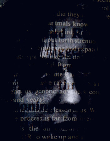 Veil_of_Hate_2007_08